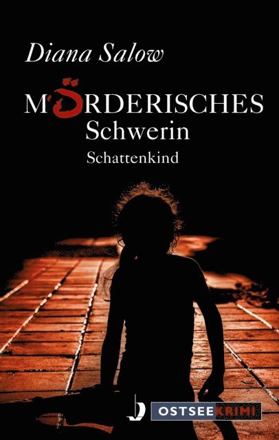 Diana Salow - Mörderisches Schwerin, E-bok