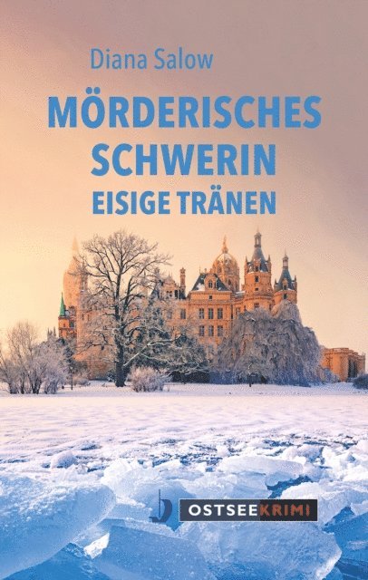 Diana Salow - Mörderisches Schwerin, E-bok
