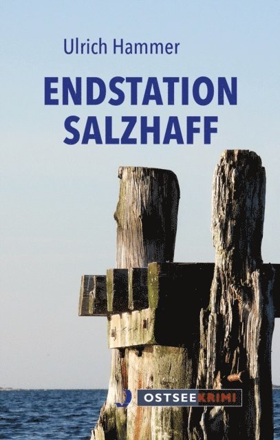 Ulrich Hammer - Endstation Salzhaff, E-bok