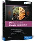 SAP Information Lifecycle Management