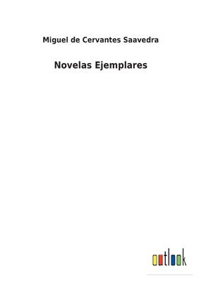 Miguel De Cervantes Saavedra, Miguel de Cervantes Saavedra - Novelas Ejemplares, Häftad
