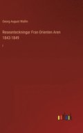 Reseanteckningar Fran Orienten Aren 1843-1849