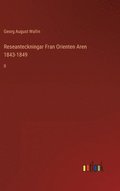 Reseanteckningar Fran Orienten Aren 1843-1849