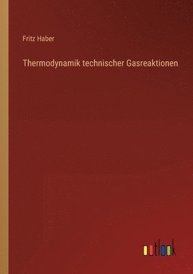 Fritz Haber - Thermodynamik technischer Gasreaktionen, Häftad