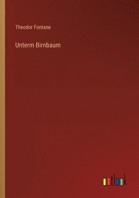 Theodor Fontane - Unterm Birnbaum, Häftad