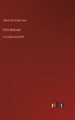 Jakob Christoph Heer - Felix Notvest, Inbunden