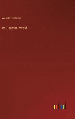Im Bernsteinwald