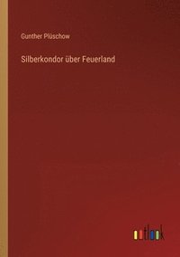 Silberkondor über Feuerland