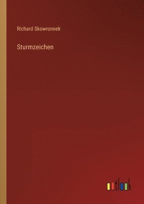 Richard Skowronnek - Sturmzeichen, Häftad