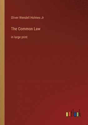 Oliver Wendell Holmes Jr - Common Law, Häftad