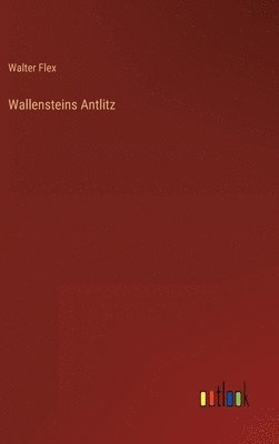 Walter Flex - Wallensteins Antlitz, Inbunden