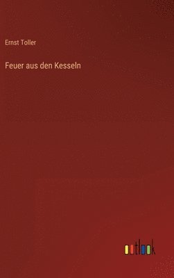 Ernst Toller - Feuer aus den Kesseln, Inbunden