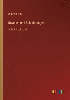 Ludwig Steub - Novellen und Schilderungen, Häftad