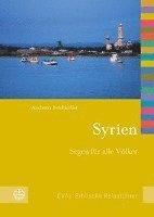 Andreas Feldtkeller - Syrien, Häftad