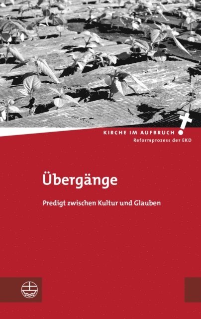 Dietrich Sagert, Kathrin Oxen - Übergänge, E-bok