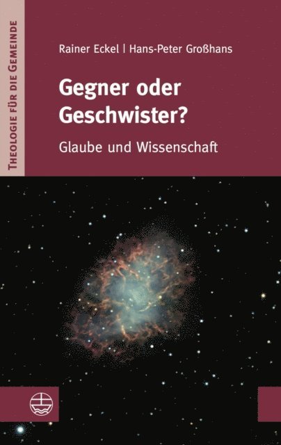 Rainer Eckel, Hans-Peter Grohans - Gegner oder Geschwister?, E-bok