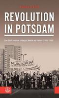 Revolution in Potsdam: Eine Stadt Zwischen Lethargie, Revolte Und Freiheit (1989/1990)