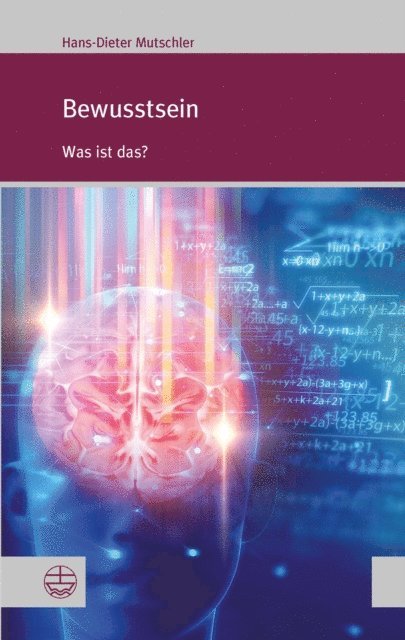 Hans-Dieter Mutschler - Bewusstsein, E-bok