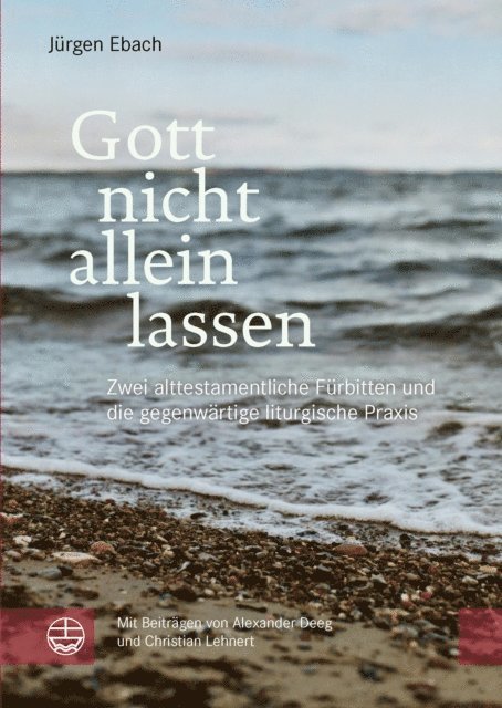 Jurgen Ebach - Gott nicht allein lassen, E-bok