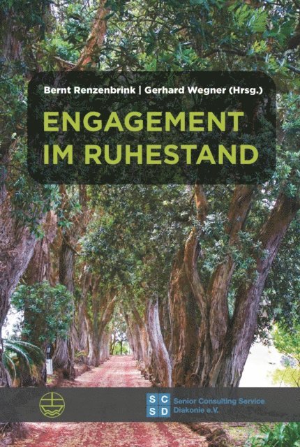 Gerhard Wegner, Bernt Renzenbrink - Engagement im Ruhestand, E-bok