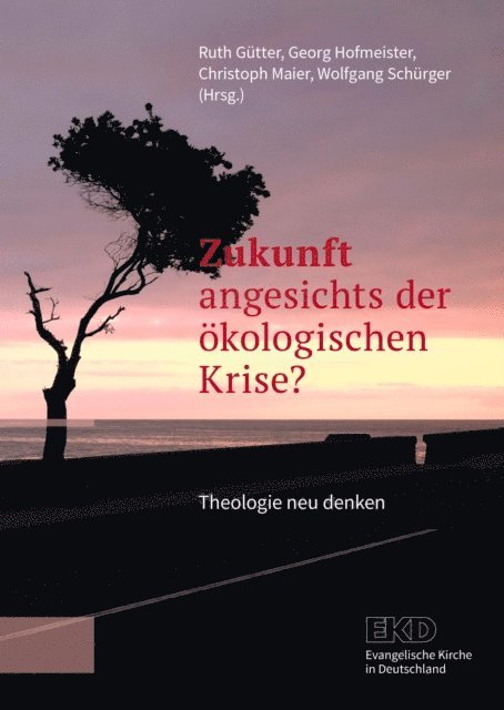 Wolfgang Schurger, Christoph Maier, Georg Hofmeister, Ruth Gutter - Zukunft angesichts der ökologischen Krise?, E-bok
