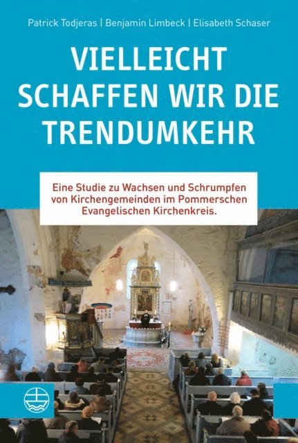Elisabeth Schaser, Benjamin Limbeck, Patrick Todjeras - Vielleicht schaffen wir die Trendumkehr, E-bok