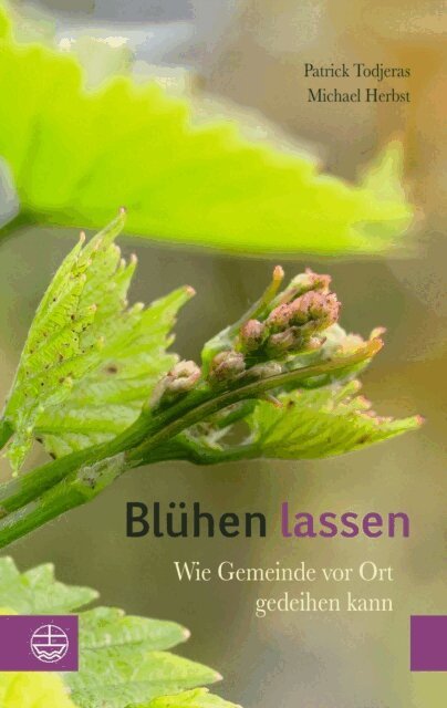 Michael Herbst, Patrick Todjeras - Bluhen lassen, E-bok