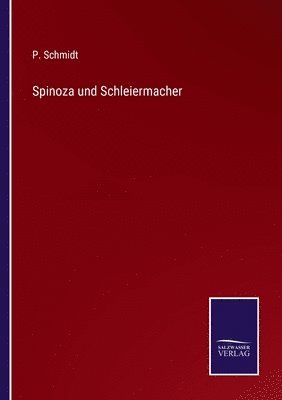 P Schmidt - Spinoza und Schleiermacher, Häftad