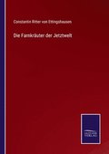 Die Farnkruter der Jetztwelt