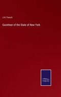 Gazetteer of the State of New York