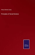 Principles of Social Science