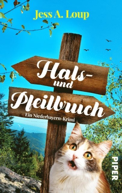 Jess A. Loup - Hals- und Pfeilbruch, E-bok