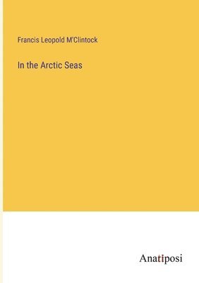 Francis Leopold M'Clintock - In the Arctic Seas, Häftad
