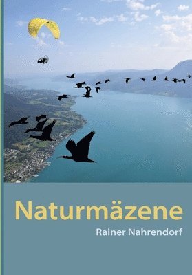 Rainer Nahrendorf - Naturmäzene: Stifter, Spender, Sponsoren für den Schutz der Natur Ein Naturreise- und ein Naturerlebnisbuch mit Videos, Häftad. Tillgänglighet: Lägg i varukorg