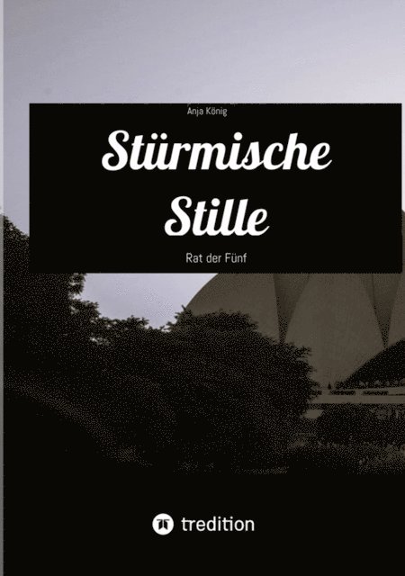 Anja Konig - Stürmische Stille, E-bok