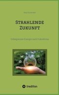 Strahlende Zukunft: Unbegrenzte Energie nach Fukushima
