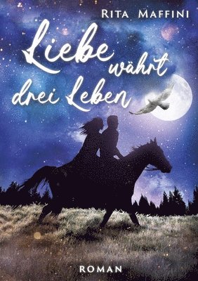 Rita Maffini - Liebe währt drei Leben, Häftad