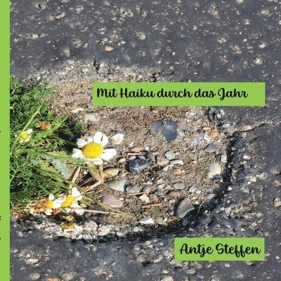 Antje Steffen - Mit Haiku durch das Jahr, Häftad