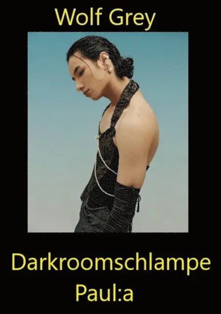 Wolf Grey - Darkroomschlampe Paul:a, E-bok. Tillgänglighet: Lägg i varukorg