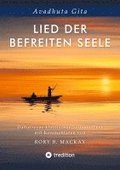 Lied der befreiten Seele - ein Text in der Tradtion des klassischen Advaita Vedanta