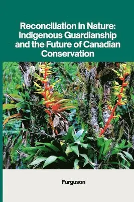 Furguson - Reconciliation in Nature: Indigenous Guardianship and the Future of Canadian Conservation, Häftad. Tillgänglighet: Lägg i varukorg