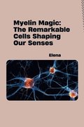 Myelin Magic: The Remarkable Cells Shaping Our Senses
