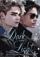 Julien Roux - Dark & Light - Liebe zwischen Licht und Schatten, Häftad