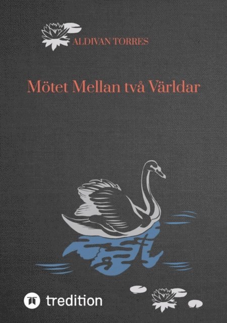 Aldivan Torres - Mötet Mellan två Världar, E-bok