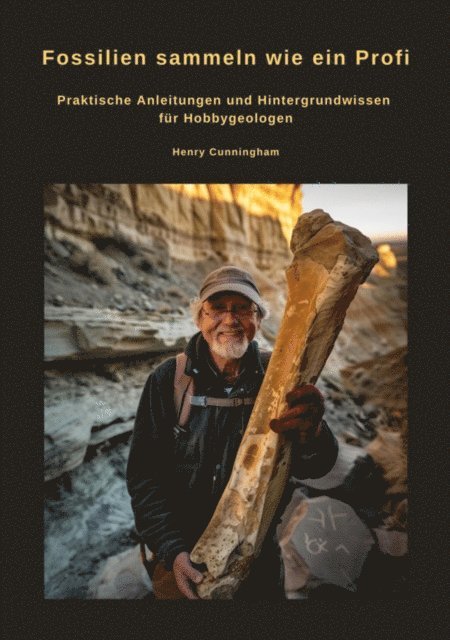 Fossilien sammeln wie ein Profi