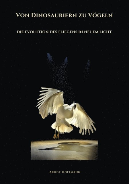Von Dinosauriern zu Vögeln