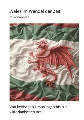 Taylor Hammond - Wales im Wandel der Zeit, Häftad. Tillgänglighet: Tillfälligt slut