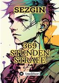 369 Stunden Strafe