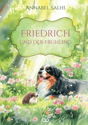 Annabel Salhi, Infinity Gaze Studios - Friedrich und der Frühling, Häftad