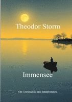 Theodor Storm, Alexander Remde - Immensee, Häftad